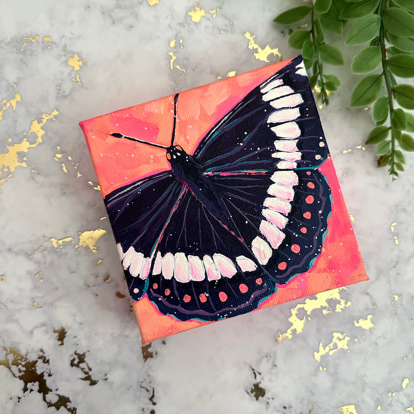 Admiral Butterfly Mini Acrylic