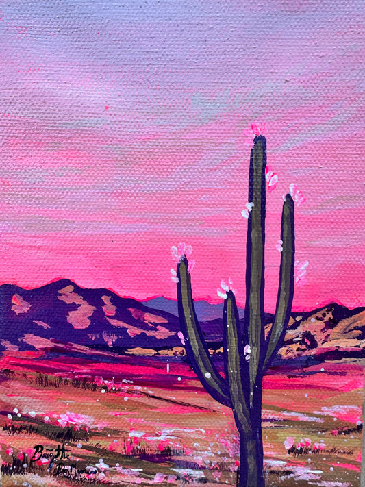 Pink Sunset - Acrylic Mini