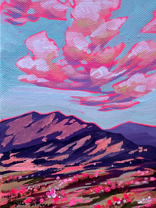 Arizona Superbloom - Acrylic Mini