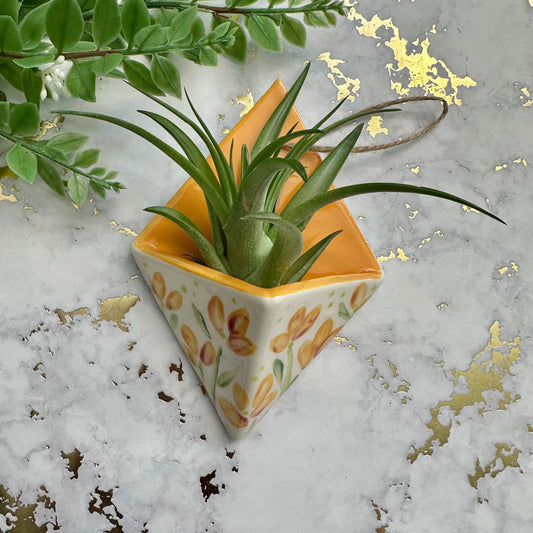 Hanging Air Plant Vase - Flowers