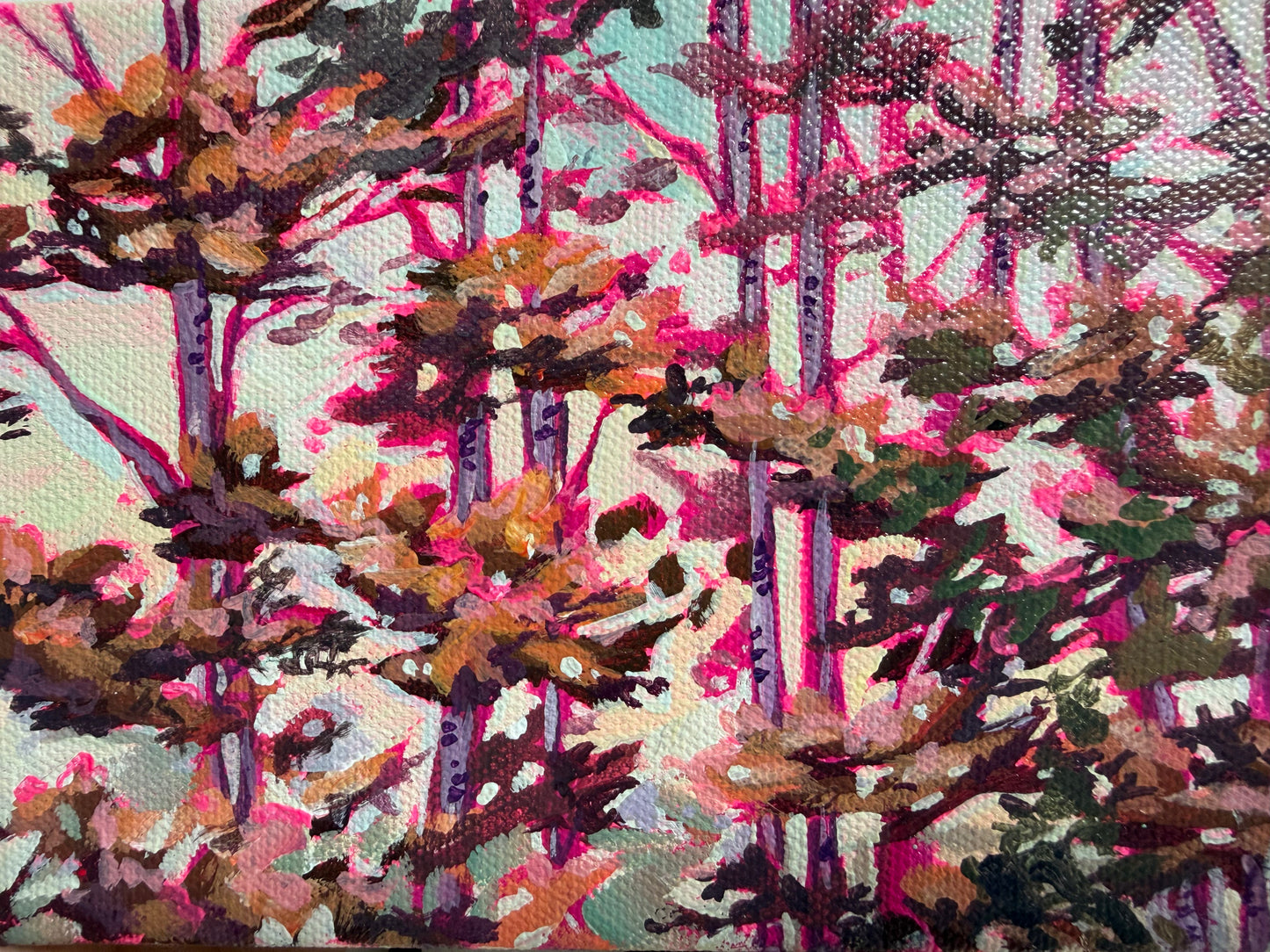 The Aspens