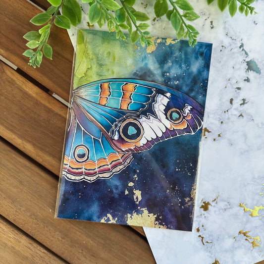 Blue Buckeye Butterfly Print