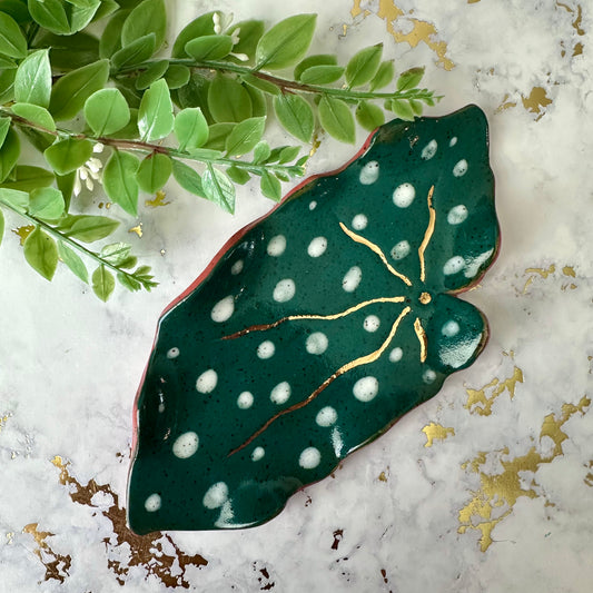 Spotted Houseplant Trinket Dish
