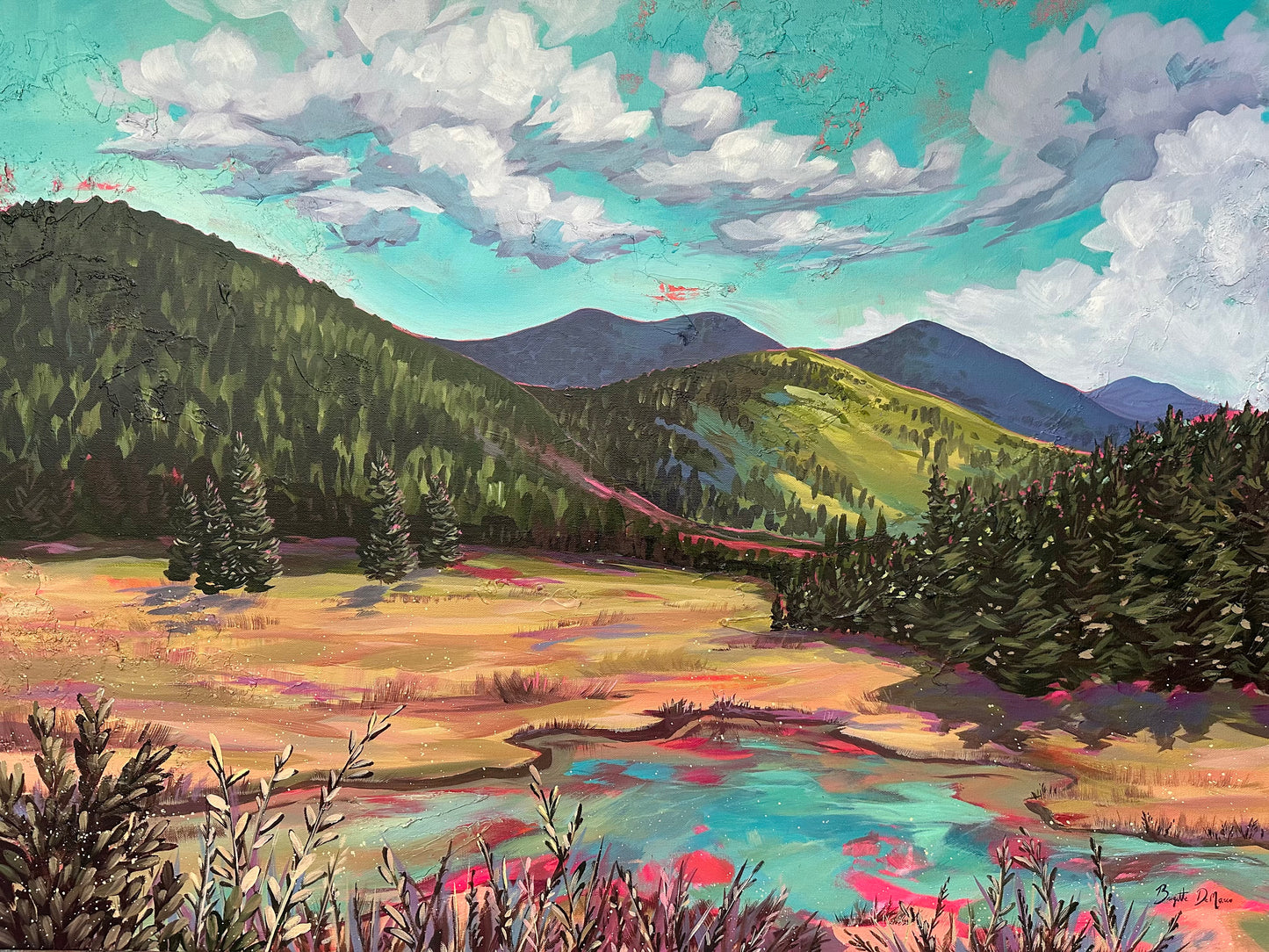 Lockett Meadow in Summer