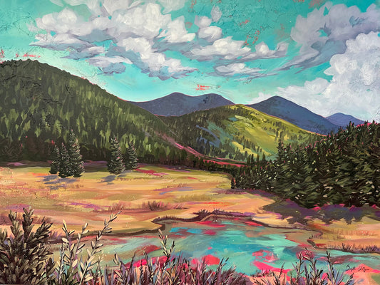 Lockett Meadow in Summer