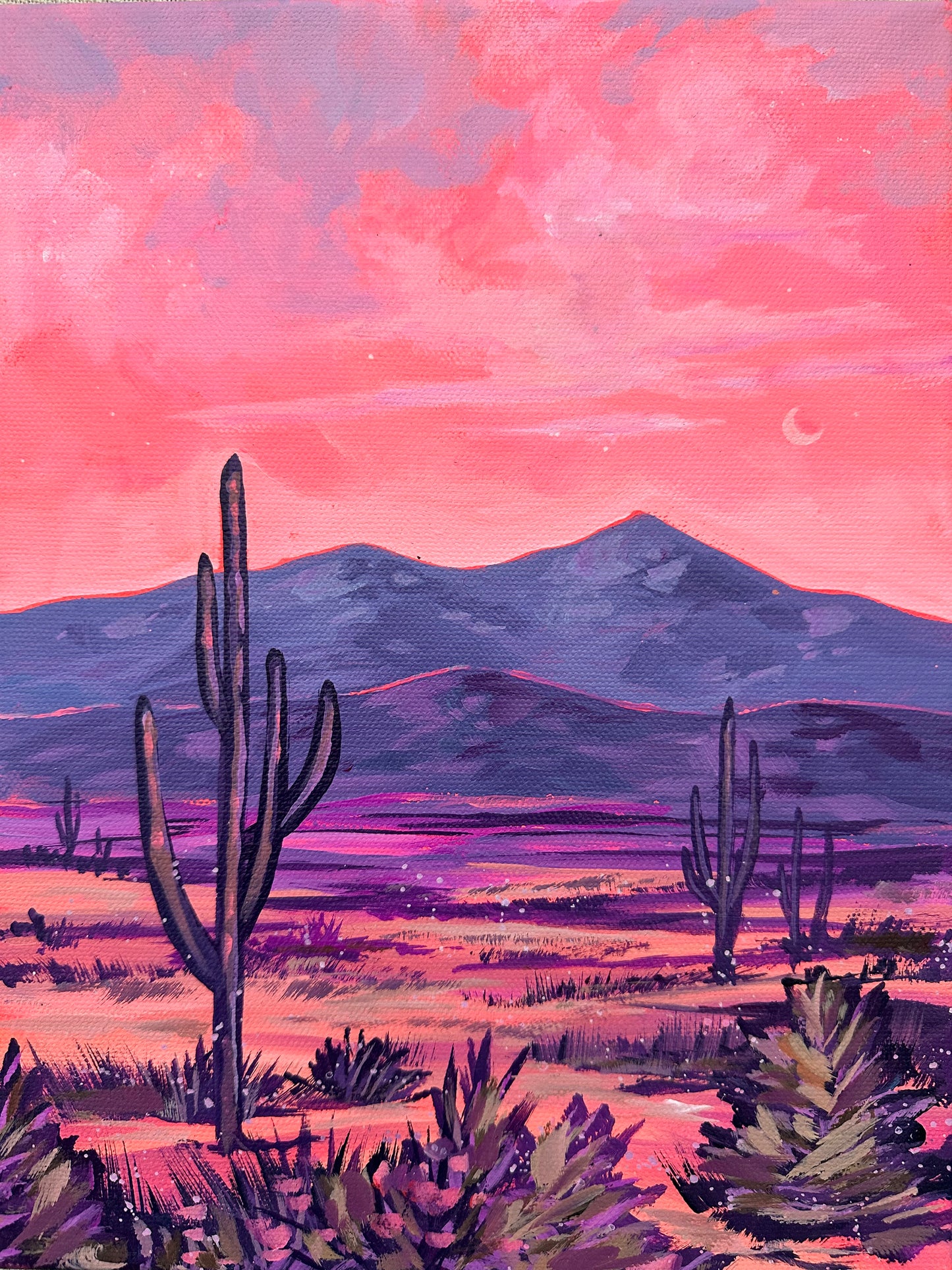 Pink Desert