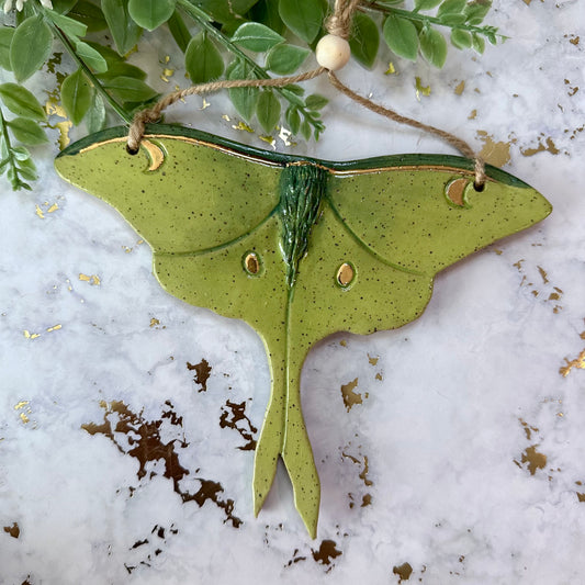 Hanging Butterfly Wall Art - Luna Moth