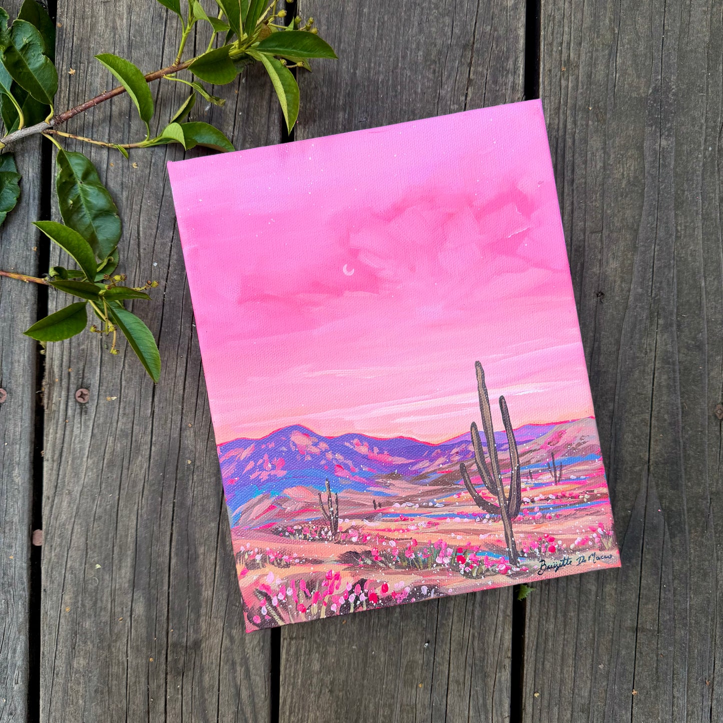 Pink Desert Sunset