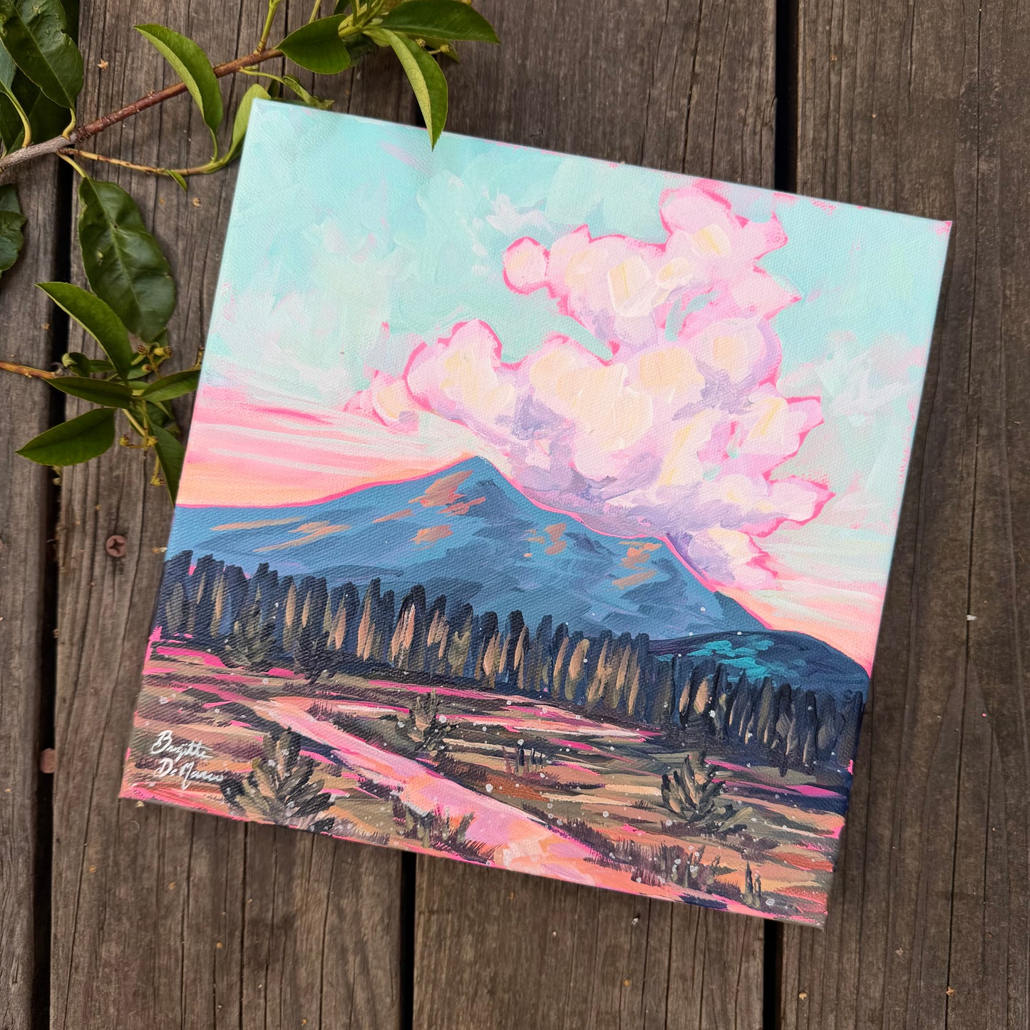 Sunset view of the Peaks