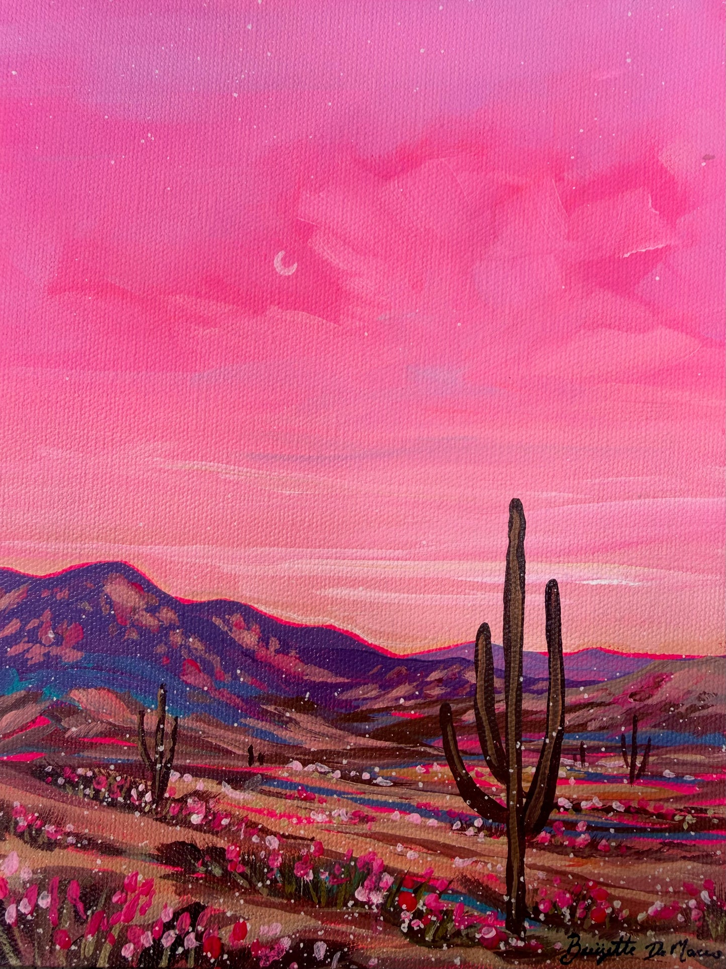 Pink Desert Sunset