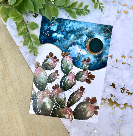 Cactus and Constellations Print