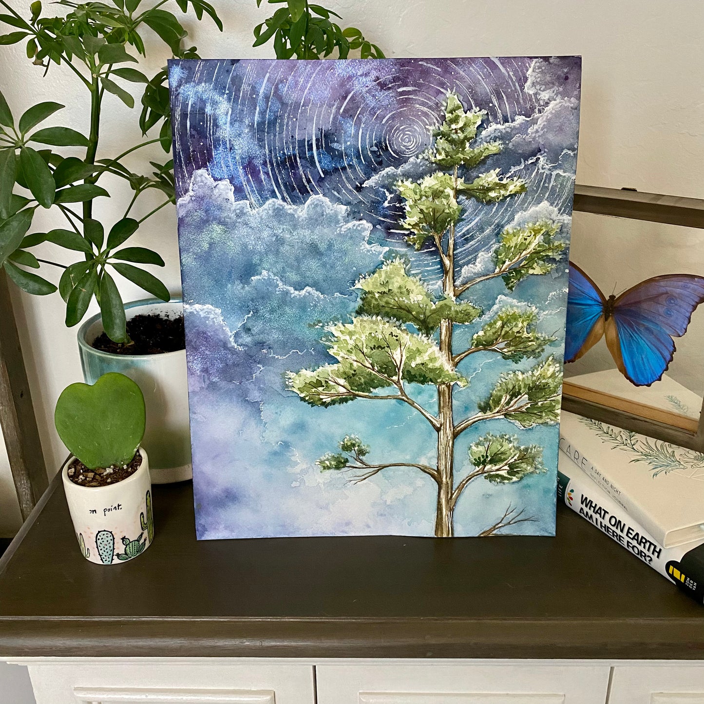 Original Pine Tree Below a Swirling Sky