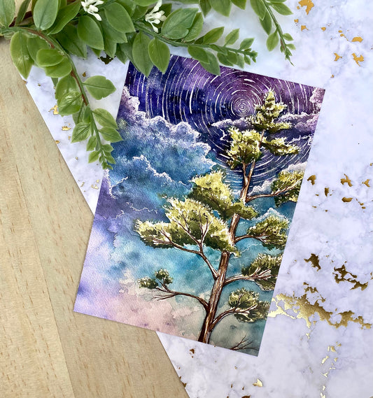 Pine Tree and Swirling Stars Print